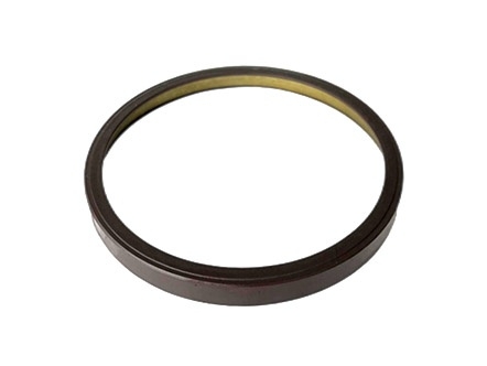 Magnetic ring